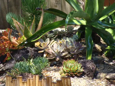 Xeristyle | Exterior | Design - Landscape Design in Fullerton, CA