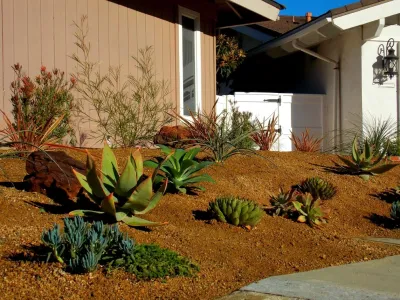 Xeristyle | Exterior | Design - Landscape Design in Fullerton, CA