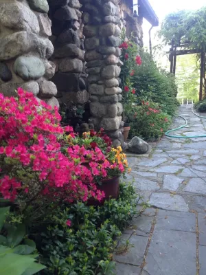 Bloom &Twig Designs - Landscape Design in Wellesley, MA