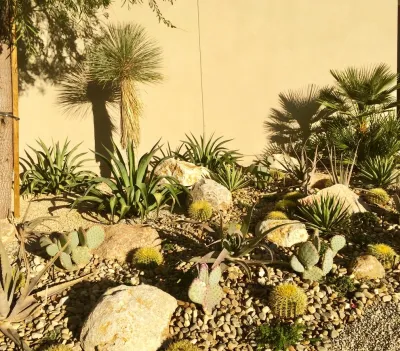 ESCAPE — Landscape Design project by Yolac & Lloyd Landscape Design in Palm Springs