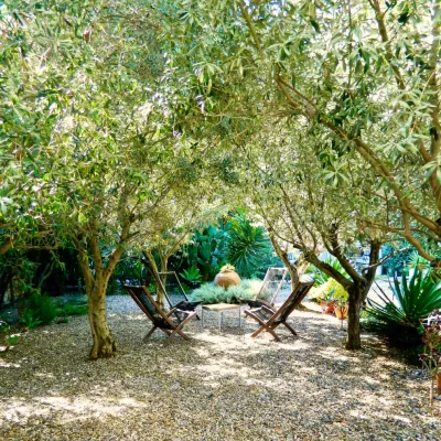 MEDITERRANEAN CALM — Landscape Design project by Yolac & Lloyd Landscape Design