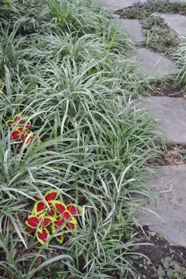 Yost Design LLC - Landscape Design in Orangeburg, NY