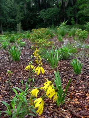Your Florida Garden, Inc. - Landscape Design in Gainesville, FL