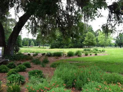 Your Florida Garden, Inc. - Landscape Design in Gainesville, FL
