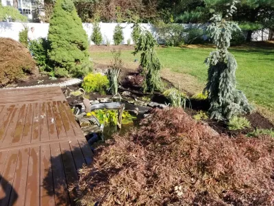 Backyard planting by Z.O. Landscaping