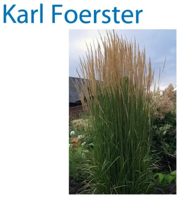 Zak George Landscaping - Garden Remodeling in Fort Collins, CO