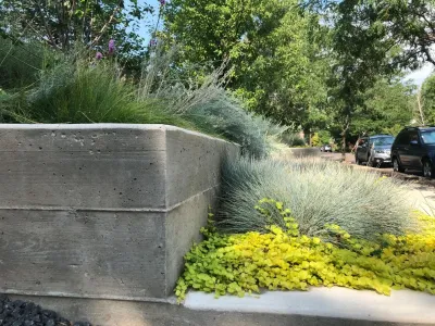 Bloom Concrete & Landscape Design - Outdoor Lighting Installation in Denver, CO