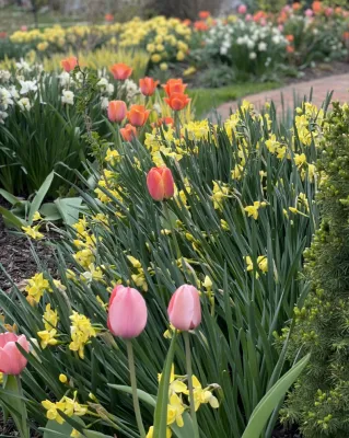 Bloom! Landscaping, LLC - Outdoor Lighting Installation in Wauwatosa, WI
