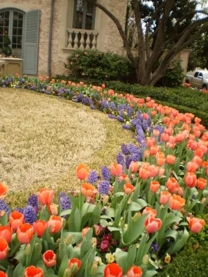 Seasonal Color — Landscape Design project by Brumley Gardens