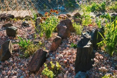 Bloomtime Design - Landscape Design in Denver, CO