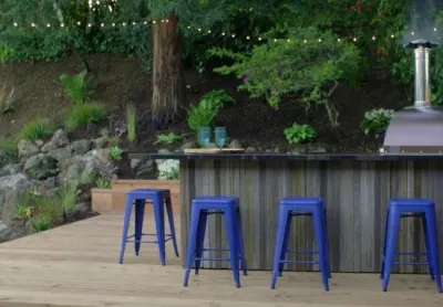 HGTV — Landscape Design project by Zenful Gardens in San Rafael