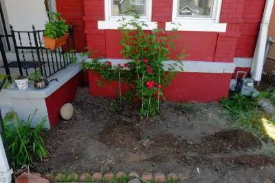 Bloomtime Design - Landscape Design in Denver, CO