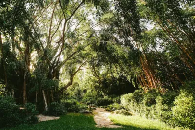 Zito Landscape Design, Inc. - Outdoor Lighting Installation in Fort Lauderdale, FL