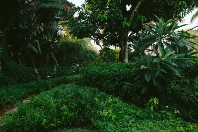 Zito Landscape Design, Inc. - Outdoor Lighting Installation in Fort Lauderdale, FL