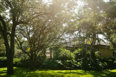 Zito Landscape Design, Inc. - Outdoor Lighting Installation in Fort Lauderdale, FL