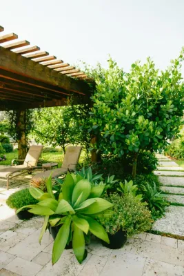 Zito Landscape Design, Inc. - Outdoor Lighting Installation in Fort Lauderdale, FL