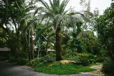 Zito Landscape Design, Inc. - Outdoor Lighting Installation in Fort Lauderdale, FL