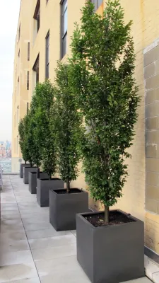 Zone6 Design - Garden Remodeling in New York, NY