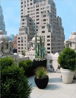 Zone6 Design - Garden Remodeling in New York, NY