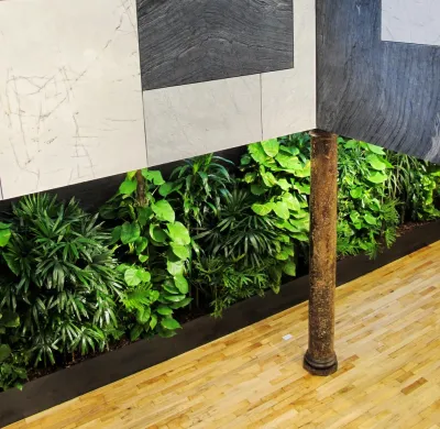 Zone6 Design - Garden Remodeling in New York, NY