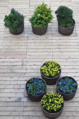 Zone6 Design - Garden Remodeling in New York, NY