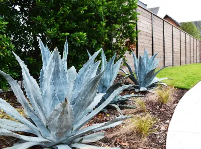 Blount Designs - Garden Remodeling in Dallas, TX