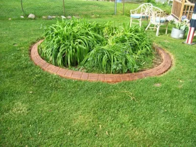 545 - Lawn Care, Inc. - Seasonal Yard Cleaning in Berkley, MI