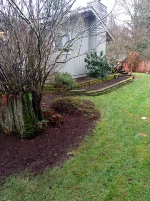 A & M Landscape LLC - Landscape Maintenance in Federal Way, WA