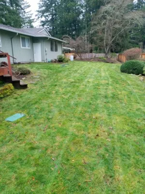 A & M Landscape LLC - Landscape Maintenance in Federal Way, WA