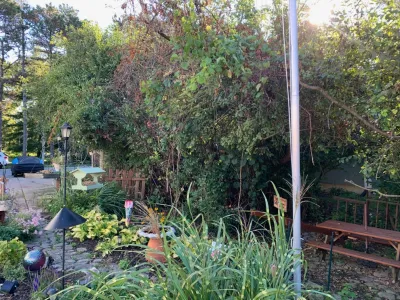 Reclaiming Space and Improving View by Clearing Overgrown Trees & Landscaping — Landscape Construction project by A+ Equipment Services And Excavation