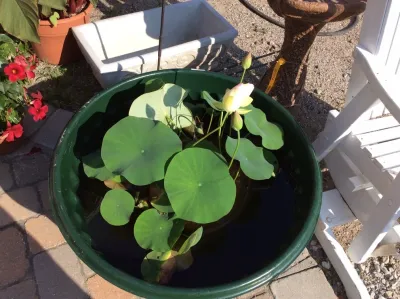 A. Esposito Landscaping and Nursery - Tree & Shrub Care in Harrisville, RI