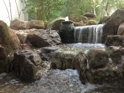 A Frog's Dream Aquatic Services - Landscape Construction in Long Valley, NJ