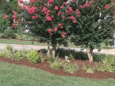 A+ Lawn Care & Landscaping, Inc - Landscape Construction in Gastonia, NC