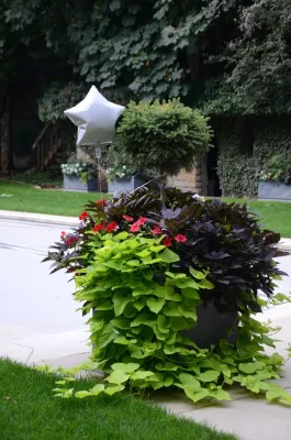 Containers — Landscape Construction project by A To Z Sprinklers & Landscape, Inc.