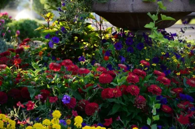 Bridgetower Subdivision by A To Z Sprinklers & Landscape, Inc.