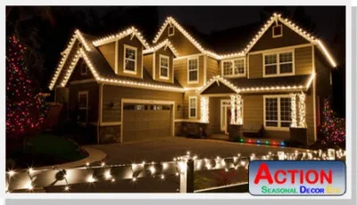 Action Irrigation and Landscaping - Landscape Maintenance in Jacksonville, FL