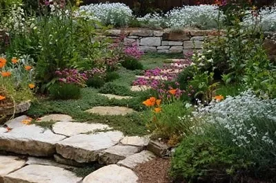 Action Irrigation and Landscaping - Landscape Maintenance in Jacksonville, FL