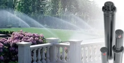 Action Irrigation and Landscaping - Landscape Maintenance in Jacksonville, FL