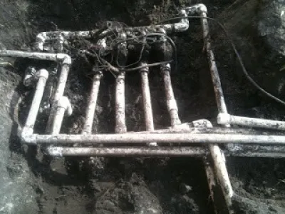 Action Irrigation and Landscaping - Landscape Maintenance in Jacksonville, FL