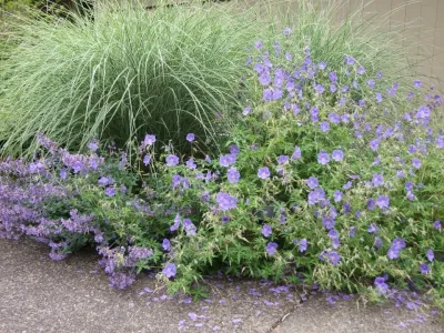 Admirable Landscapes LLC - Landscape Construction in Portland, OR
