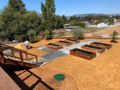 Blue Cypress Landscaping Inc - Drought-Resistant Lawn Installation in Petaluma, CA