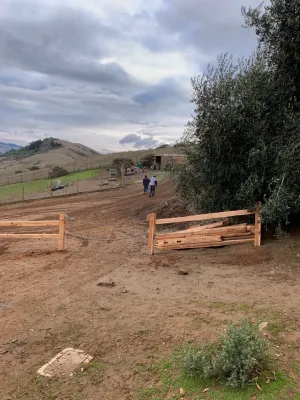 Blue Cypress Landscaping Inc - Drought-Resistant Lawn Installation in Petaluma, CA