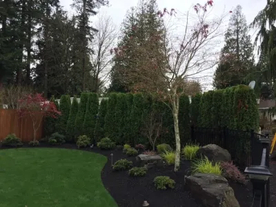 Advanced Landscape Management - Landscape Maintenance in Snohomish, WA
