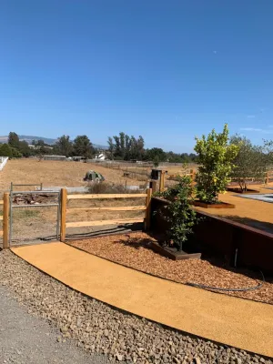 Blue Cypress Landscaping Inc - Drought-Resistant Lawn Installation in Petaluma, CA