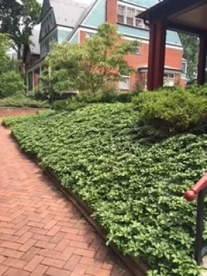 Advanced Landscapes LLC - Lawn Aeration in Lancaster, PA