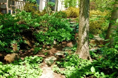 Advanced Landscapes LLC - Lawn Aeration in Lancaster, PA