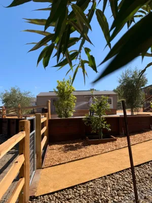 Blue Cypress Landscaping Inc - Drought-Resistant Lawn Installation in Petaluma, CA