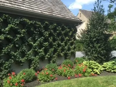 Advanced Landscapes LLC - Lawn Aeration in Lancaster, PA