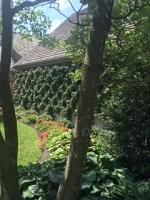 Advanced Landscapes LLC - Lawn Aeration in Lancaster, PA
