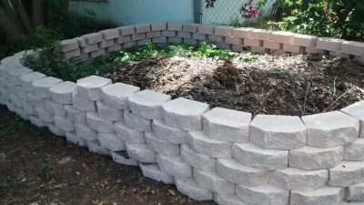 Advantage Landscape - Tree & Shrub Care in Clermont, FL